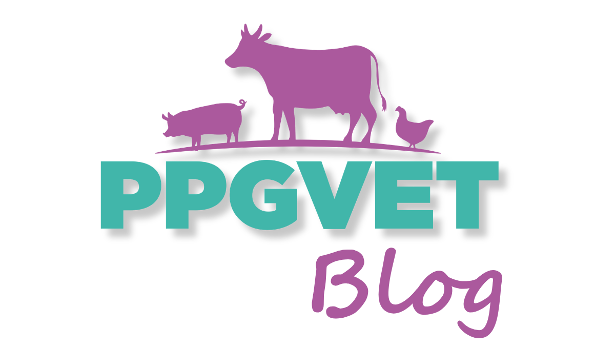 Blog PPGVET Educação